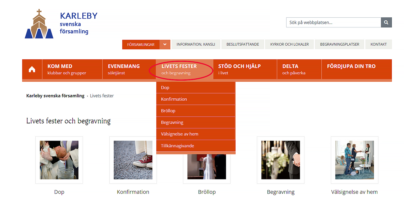 Kuvakaappaus nettisivuilta.