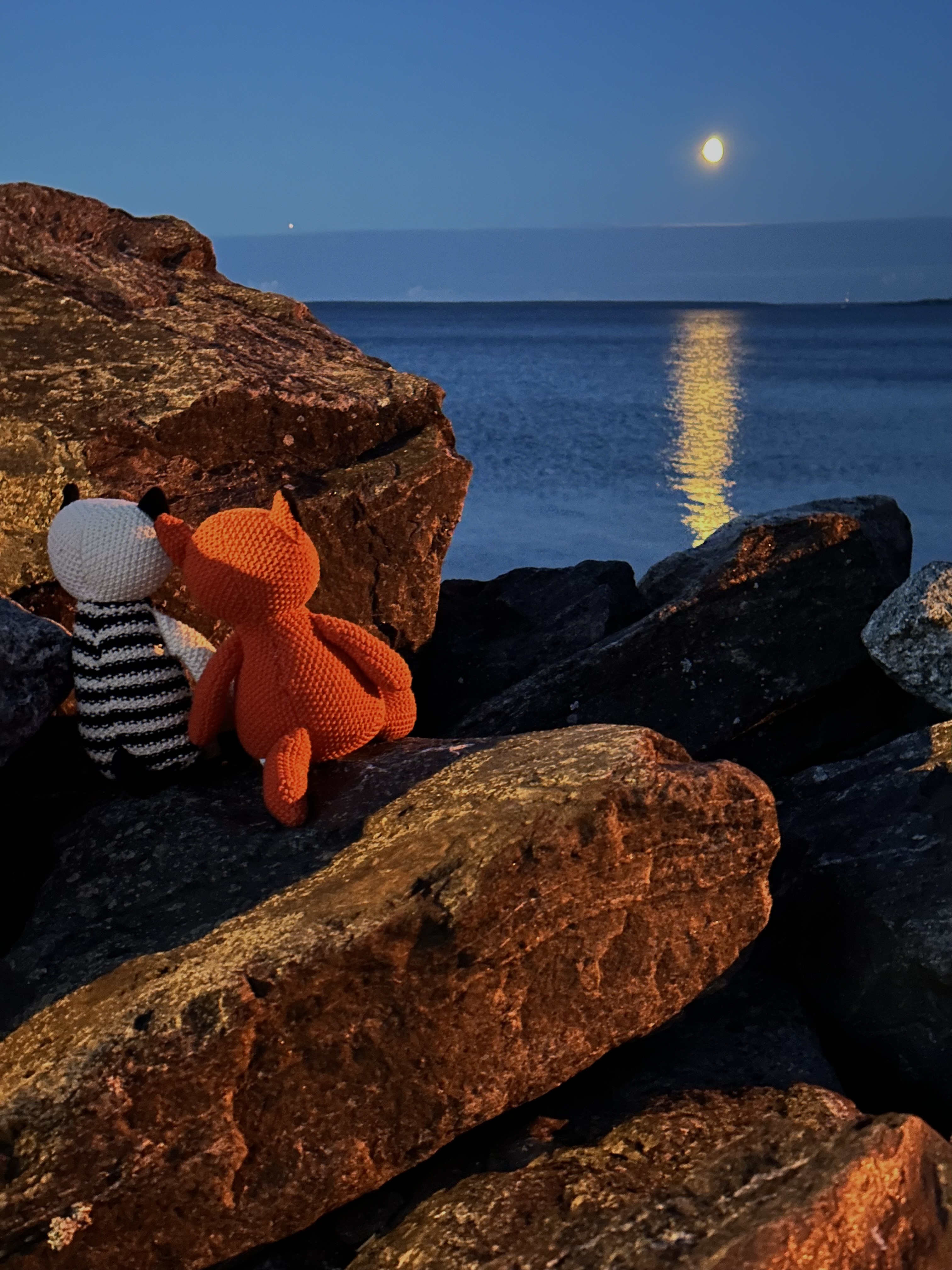 Eeri ja Nemo istuvat kivillä rannalla ja katselevat kuutamoa.